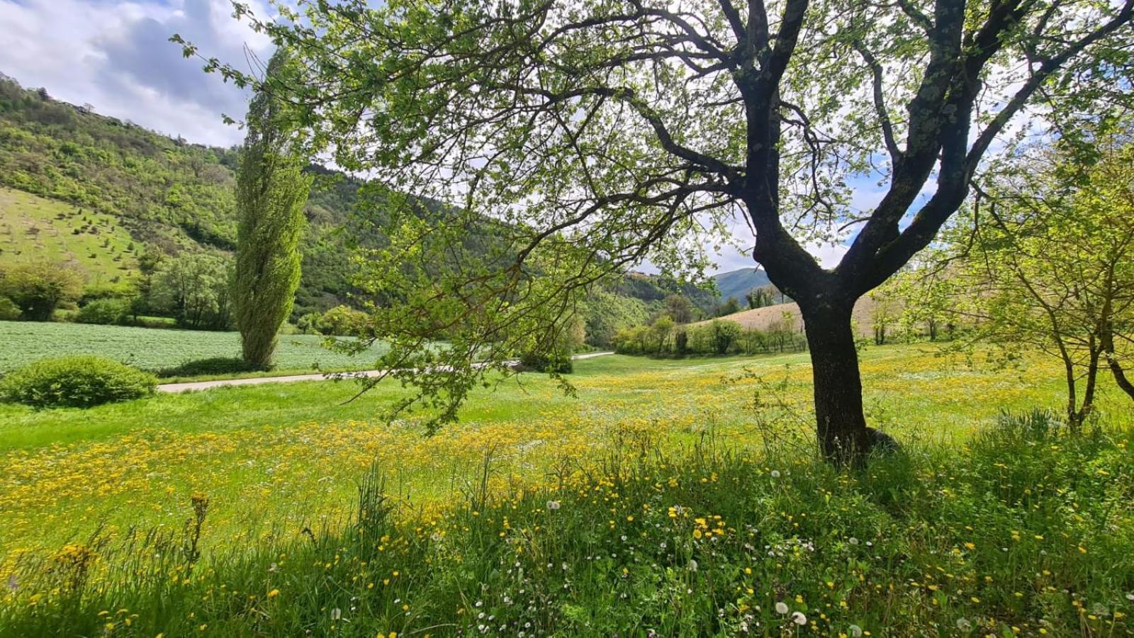 Hostal Casa Zia Cianetta Residenza Di Campagna Capodacqua  Exterior foto